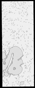 VT0131-metasys-20120605A-bri
