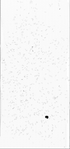 VT10252-metasys-20130219-bri