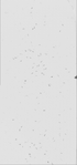 VT10696-metasys-20140128-rescan2F-bri