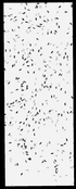 VT1083-metasys-20120627-bri