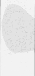 VT11039-metasys-20130618E-bri
