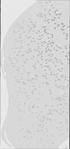 VT17242-metasys-20131021A-bri
