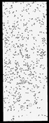 VT20958-metasys-20120726A-bri