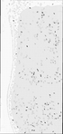 VT2670-metasys-20130207C-bri