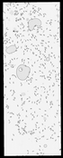 VT29813-metasys-20120601A-bri