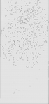 VT37580-metasys-20121130E-bri