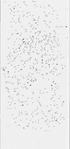 VT39556-metasys-20130701D-bri