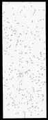 VT41711-metasys-20120722-bri