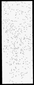 VT41711-metasys-20120722A-bri