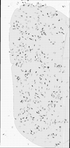 VT42863-metasys-20130207B-bri