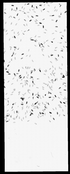 VT44107-metasys-20120726A-bri